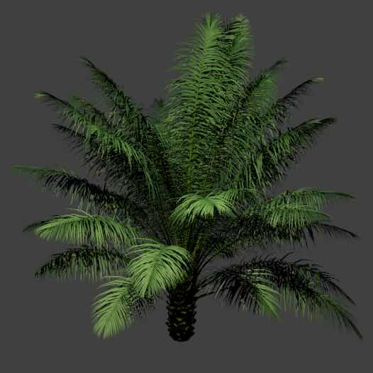 PalmStudio logo
