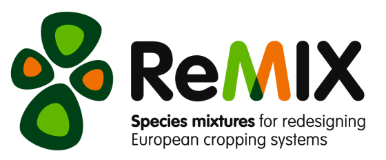 ReMIX logo